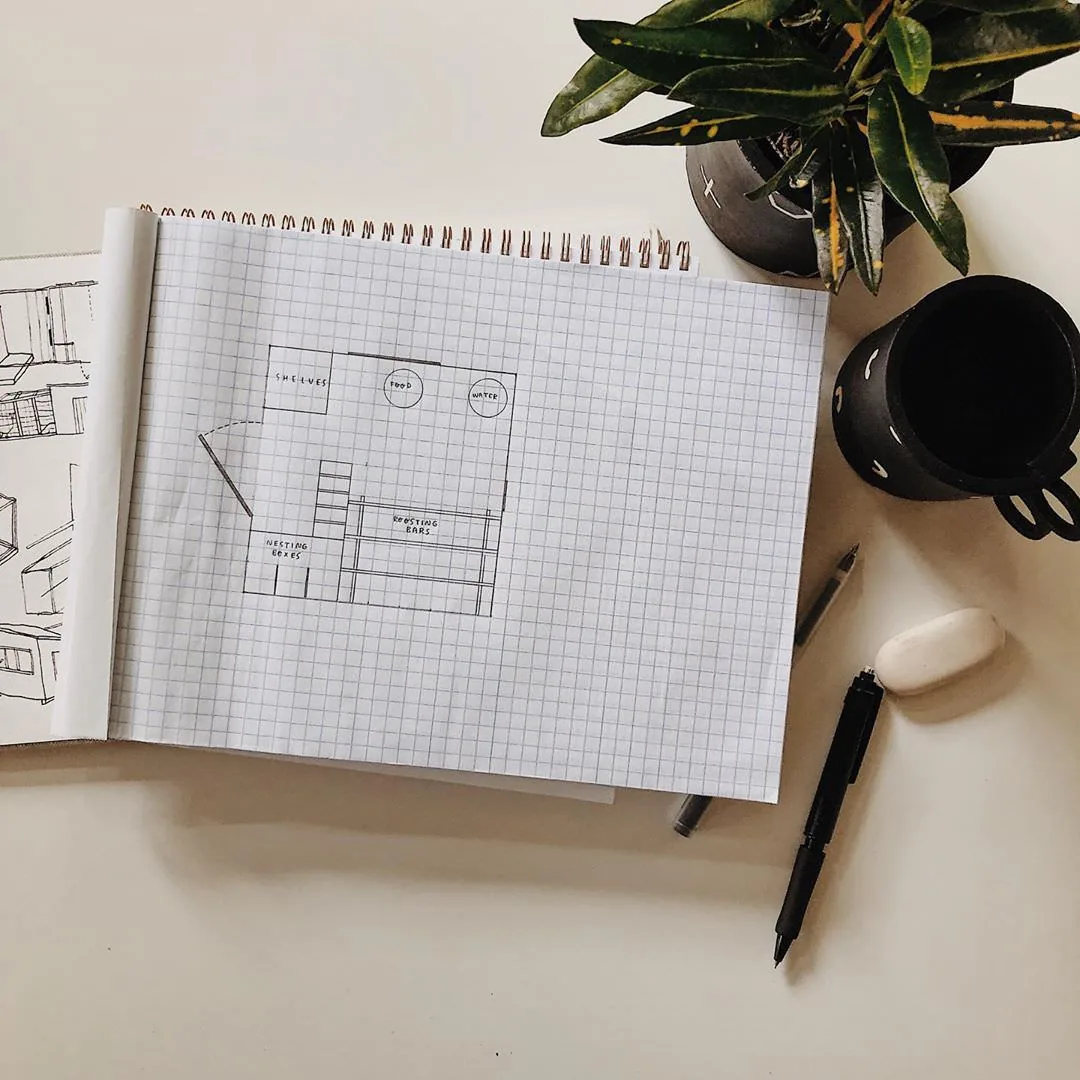 Construire un poulailler ? Le plan est indispensable.