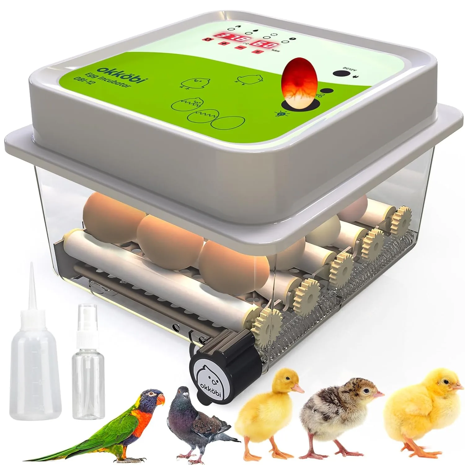 Couveuse automatique 12 oeufs — Okköbi OBI-12 — vue 1 sur 8