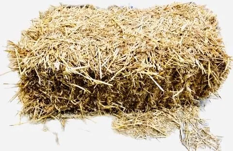 Paille de blé 100% Naturelle – Litière Animale – pour Lapins, volailles, Chevaux, chèvres – Ballot Environ 11 kg