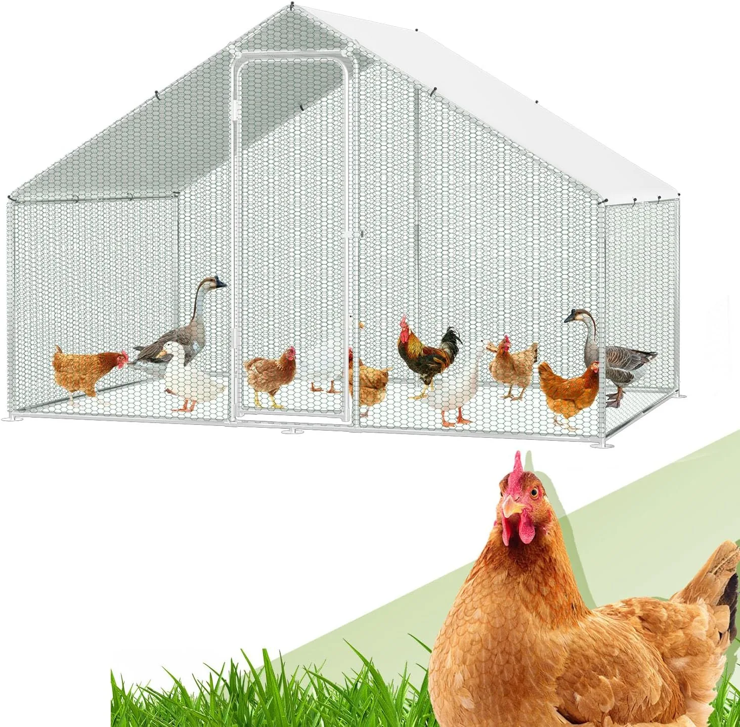 Randaco - Poulailler XL avec serrure - En acier galvanisé - Pour petits animaux - Installation à l'air libre - Poulailler avec toit - 3 x 2 x 2 m - Avec serrure et toile de couleur PE imperméable